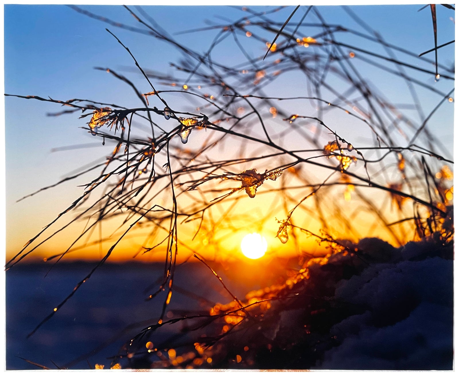 Near Holt, Norfolk, 2002