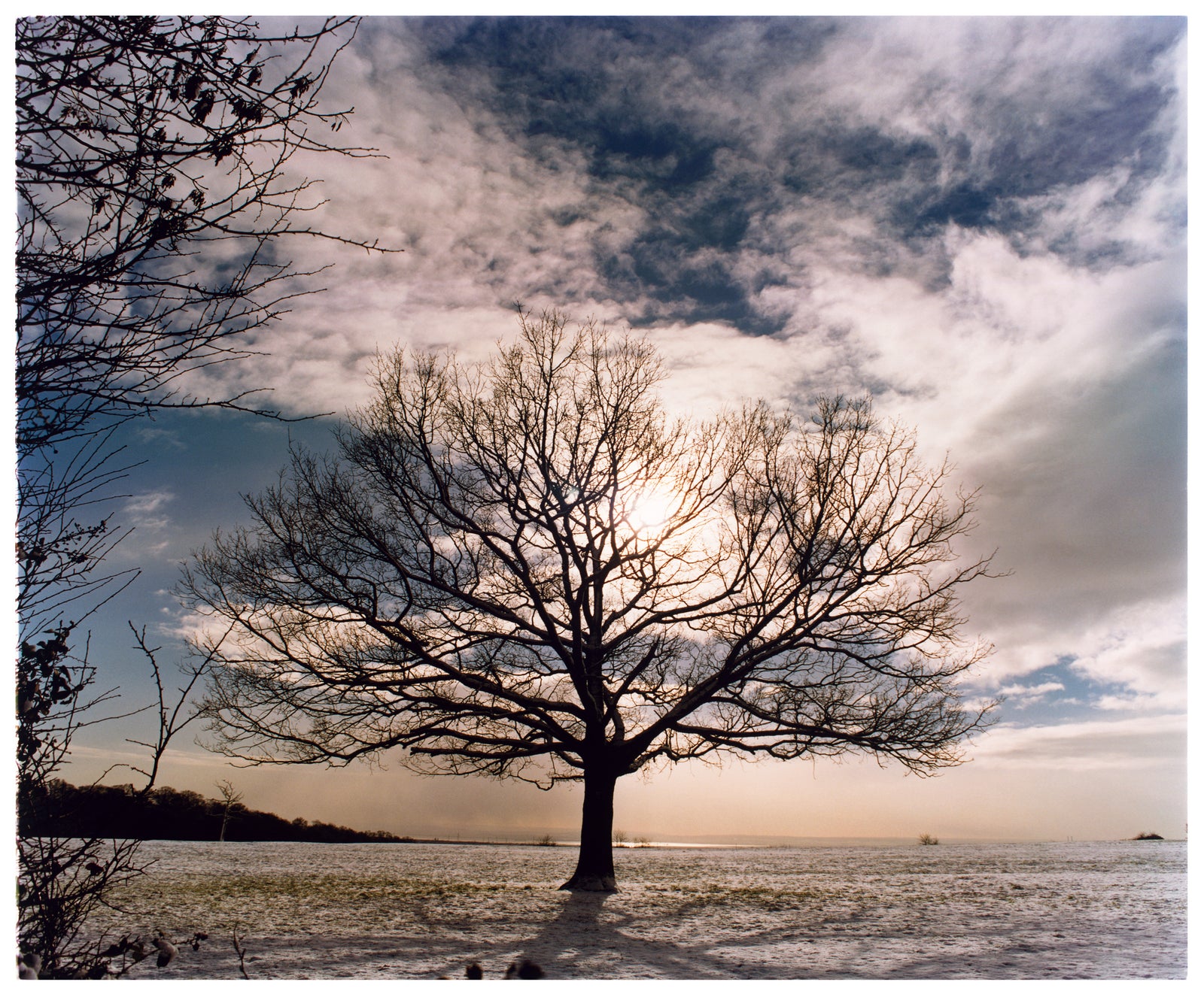 One Tree Hill, Langdon Hills Country Park, 2004