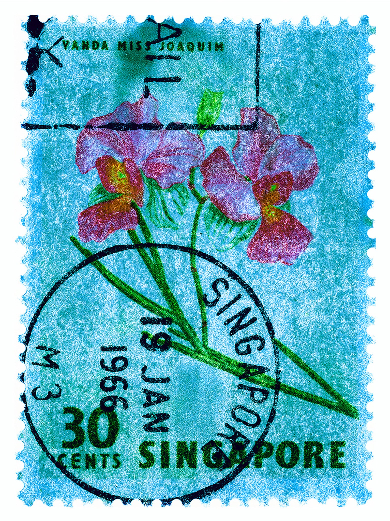 Singapore Stamp Collection '30 Cents Singapore Orchid Blue'. These historic postage stamps that make up the Heidler & Heeps Stamp Collection, Singapore Series 'Postcards from Afar' have been given a twenty-first century pop art lease of life. The fine detailed tapestry of the original small postage stamp has been brought to life, made unique by the franking stamp and Heidler & Heeps specialist darkroom process.
