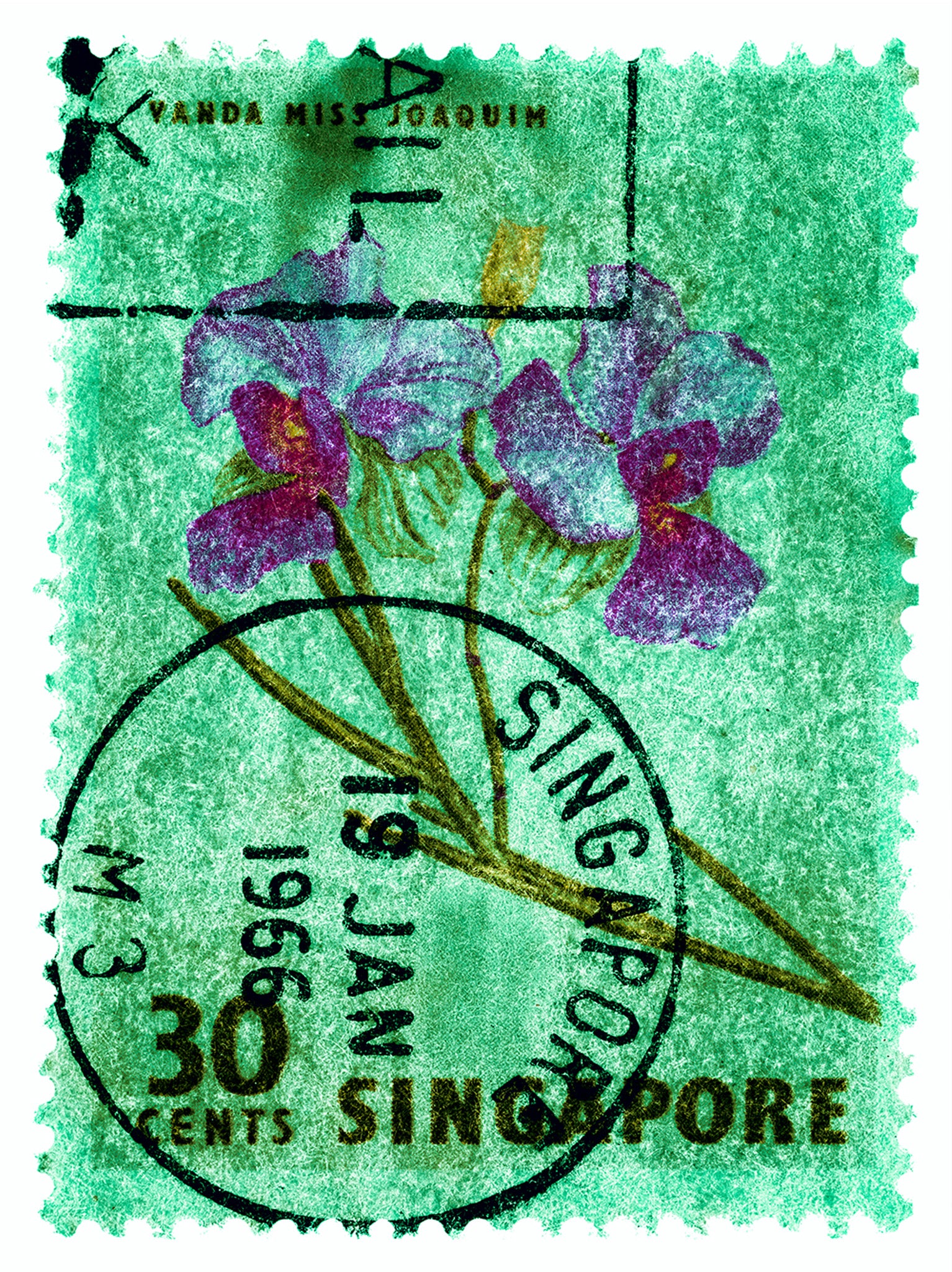 Singapore Stamp Collection '30 Cents Singapore Orchid Green'. These historic postage stamps that make up the Heidler & Heeps Stamp Collection, Singapore Series 'Postcards from Afar' have been given a twenty-first century pop art lease of life. The fine detailed tapestry of the original small postage stamp has been brought to life, made unique by the franking stamp and Heidler & Heeps specialist darkroom process.