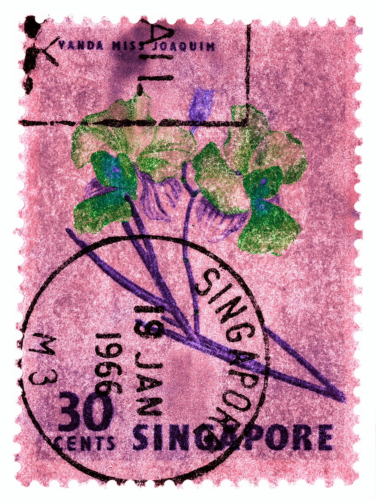 Singapore Stamp Collection '30 Cents Singapore Orchid Pink'. These historic postage stamps that make up the Heidler & Heeps Stamp Collection, Singapore Series 'Postcards from Afar' have been given a twenty-first century pop art lease of life. The fine detailed tapestry of the original small postage stamp has been brought to life, made unique by the franking stamp and Heidler & Heeps specialist darkroom process.