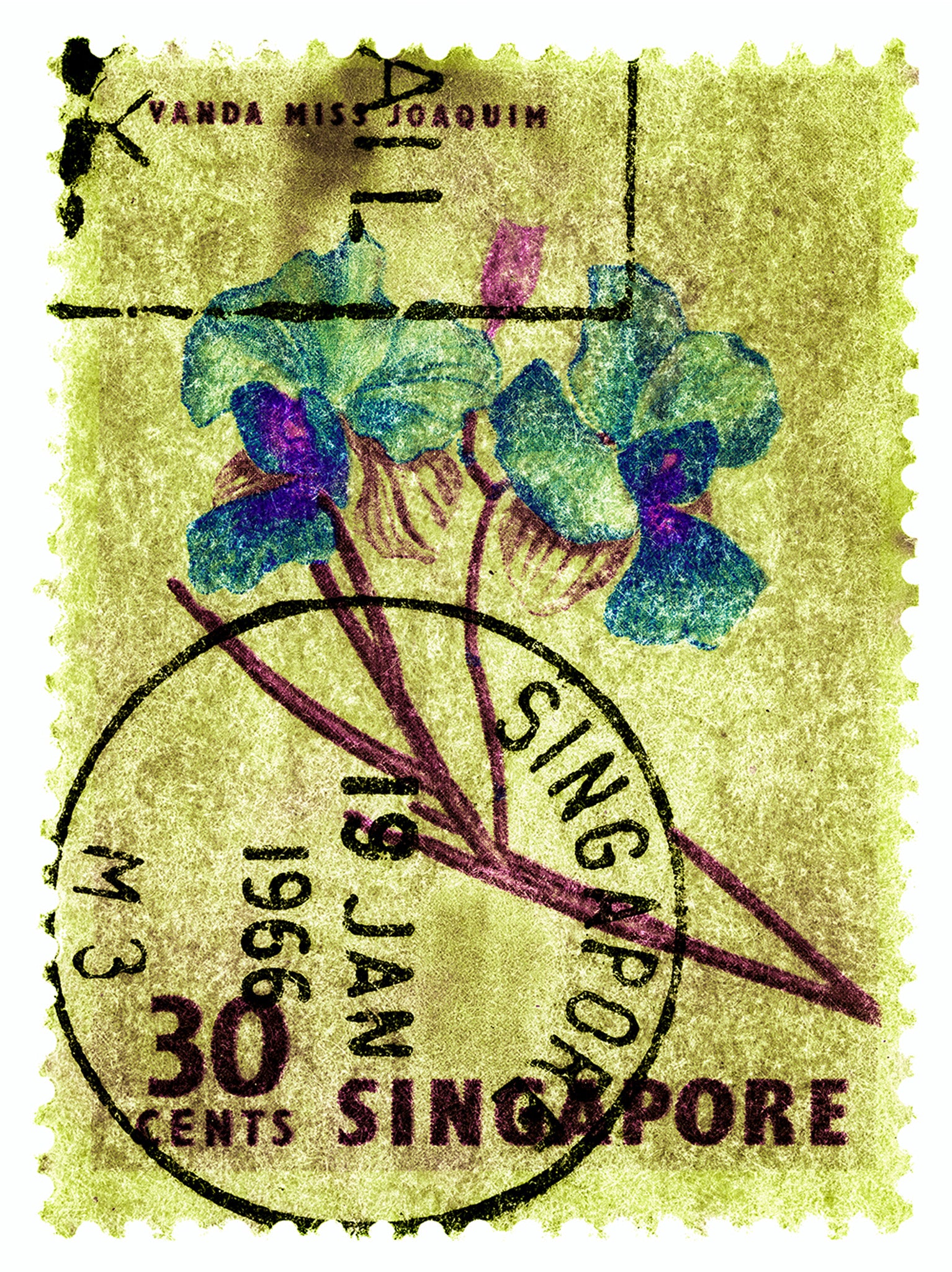 Singapore Stamp Collection '30 Cents Singapore Orchid Yellow'. These historic postage stamps that make up the Heidler & Heeps Stamp Collection, Singapore Series 'Postcards from Afar' have been given a twenty-first century pop art lease of life. The fine detailed tapestry of the original small postage stamp has been brought to life, made unique by the franking stamp and Heidler & Heeps specialist darkroom process.