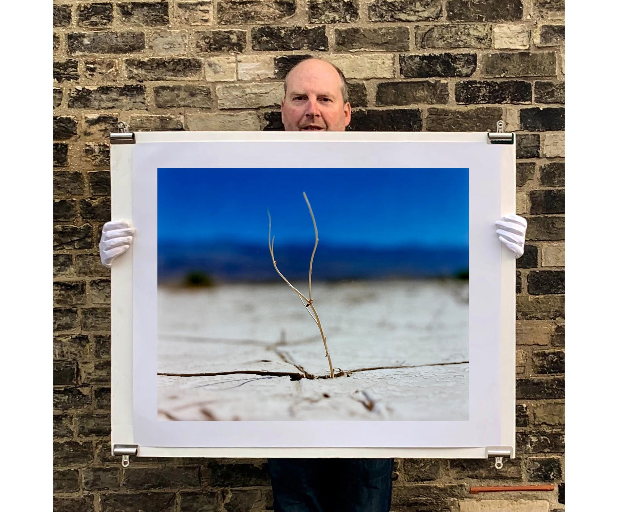 'Florescence', from Richard Heeps' 'Dream in Colour' series was photographed in Panamint Valley, Death Valley National Park, California. This minimal landscape photograph uses a shallow depth of field emphasises a lone twig, a small sign of life, against a deep blue sky background.