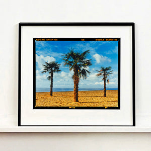 Black framed photograph by Richard Heeps.  Three palm trees on the beach at Clacton-on-Sea with shadows cast by the early evening light.