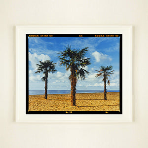 White framed photograph by Richard Heeps.  Three palm trees on the beach at Clacton-on-Sea with shadows cast by the early evening light.