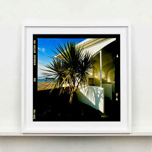 Palms, St Leonards-On-Sea, 2020