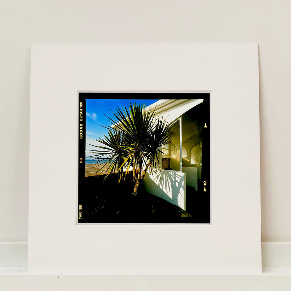 Photograph by Richard Heeps.  Palm Trees bathed in sunlight next to a beach house, with the sea in the background. 