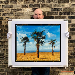 Photograph held by photographer Richard Heeps.  Three palm trees on the beach at Clacton-on-Sea with shadows cast by the early evening light.