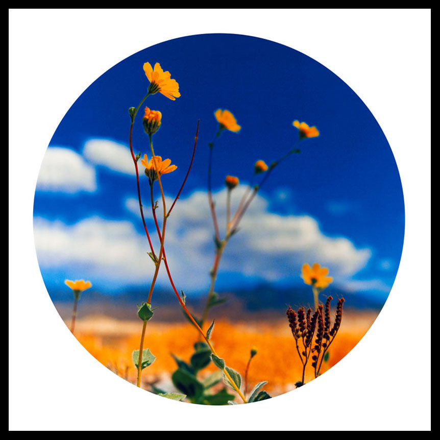 Hell's Gate, California, 2000