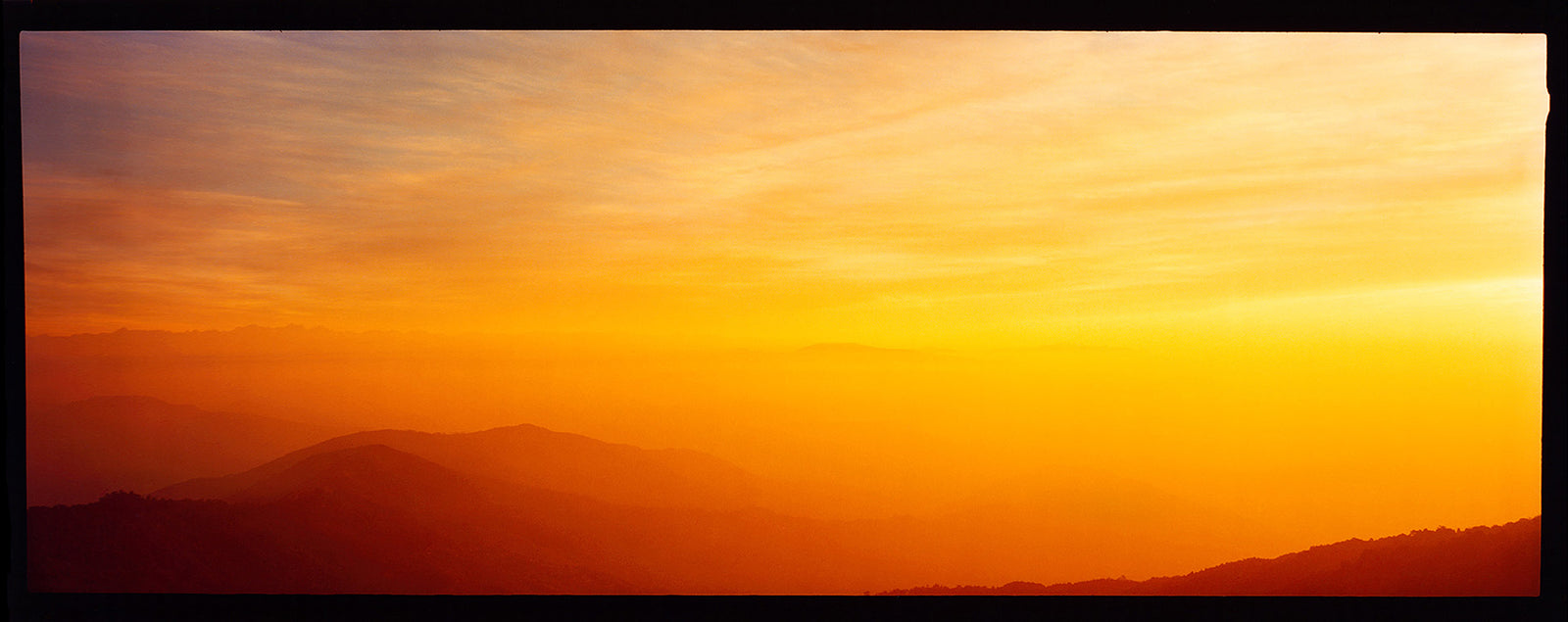 Tea Valley, Darjeeling, West Bengal, 2013