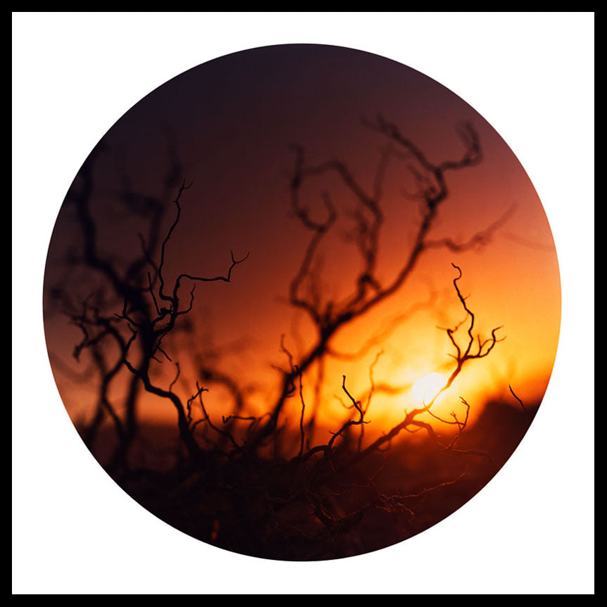 Teakettle Road, California, 2000