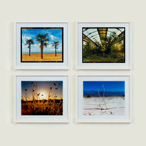 4 white framed photographs by Richard Heeps.  The top left photo is of three palm trees on golden sand with a blue cloudy sky, the top right photograph is of  inside a vast greenhouse, bottom left is browned tall grass sitting in front of a golden autumn sunset, the bottom right one is a white twig sitting on white sand with a blue sky in the background.