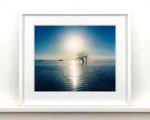 Towards Rock Hill, photographed by Richard in Bombay Beach, Salton Sea, California. The horizon intersected by sun rays, featuring a tree unexpectedly rising out of the lake gives this piece an ethereal quality. 