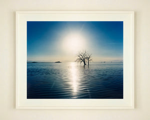 Towards Rock Hill, photographed by Richard in Bombay Beach, Salton Sea, California. The horizon intersected by sun rays, featuring a tree unexpectedly rising out of the lake gives this piece an ethereal quality. 