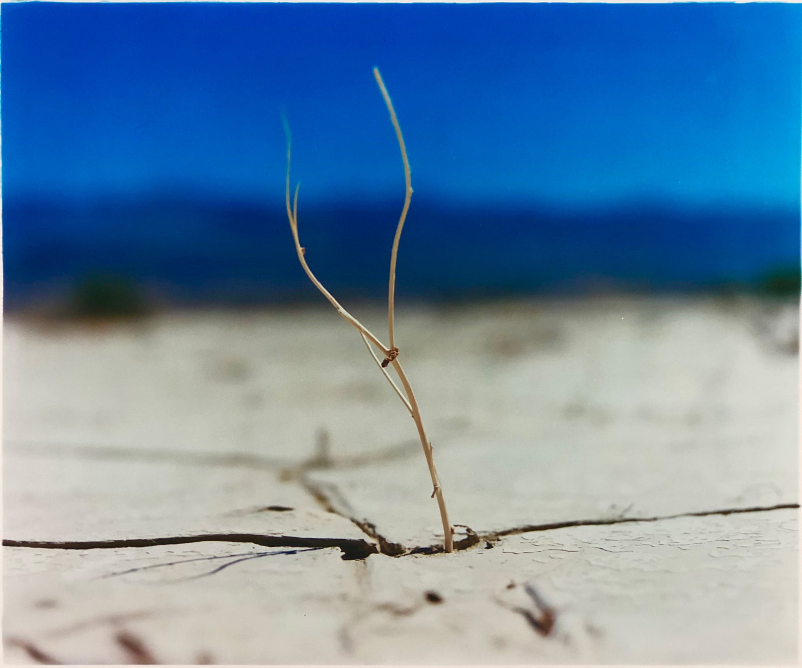 Panamint Valley I, Death Valley National Park, California 2000