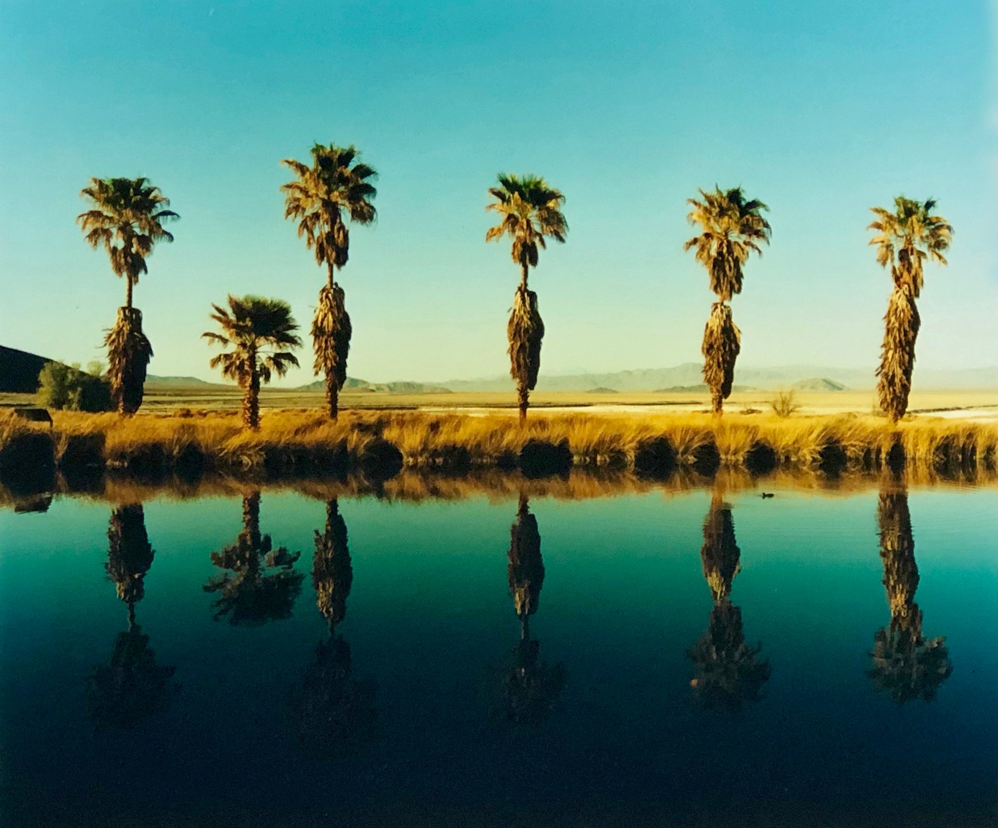 Palm trees stand tall against ombre skies in shades of blue and green in 'Zzyzx Resort Pool II', taken in Soda Dry Lake, California. This artwork was taken on a road trip from LA to Las Vegas. This photograph was taken on negative in 2002 but only executed in Richard's darkroom for the first time in 2017.