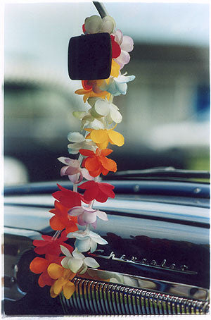 Flower Lei, Hemsby, 2003