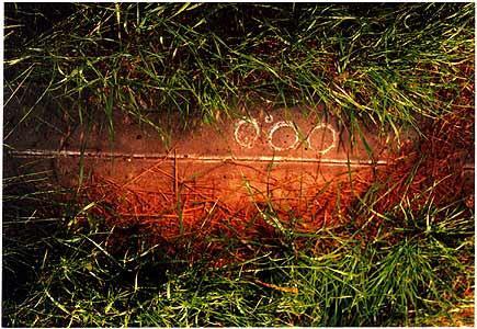  A set of photographs that followed a straight line. The images would go through, over and under what ever came in the path of the camera’s lens: grass.