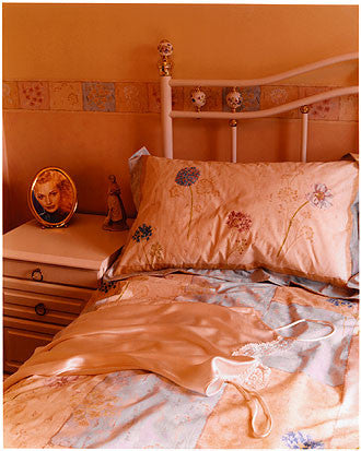 0°00' longitude, 52°23N' latitude, Show House, Somersham, Cambridgeshire 2001