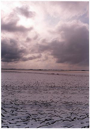 0°00' longitude, 52°28N' View from Vermuyden's Drain, Cambridgeshire 2001