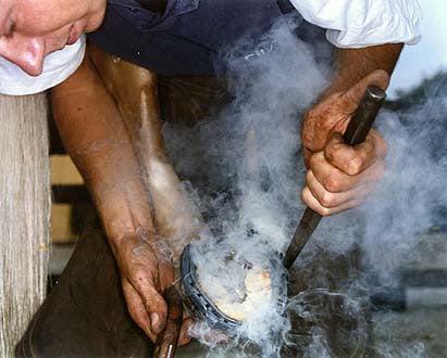 Farrier(Justin) shoeing horse(Gilly), Tally Ho Riding School, Chadwell 2003