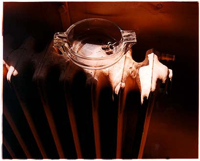 Hut 6 - Wasps, Bletchley Park 2003