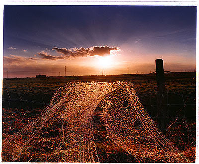 Fishing Net - Oozedam, Fobbing Marshes 2004