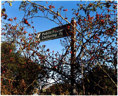 Twenty Pence Bridge, Cottenham, Cambridgeshire 2003