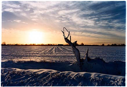 Long Drove - Sunrise, Cottenham, Cambridgeshire 2003
