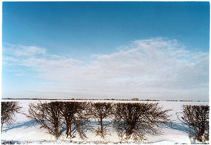 Oakington Road - Hedgerow, Cottenham, Cambridgeshire 2003