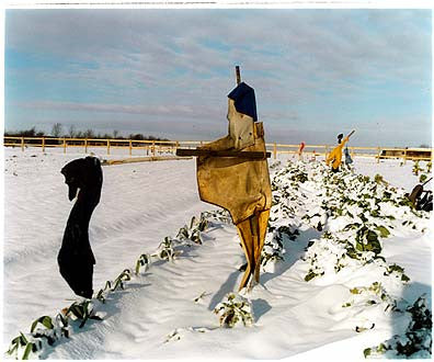 Oakington Road - Scarecrows, Cottenham, Cambridgeshire 2003