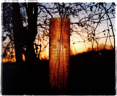 Long drove - Tree Guard I, Cottenham, Cambridgeshire 2002