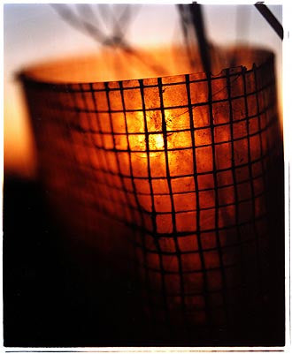 Long Drove - Tree Guard II, Cottenham, Cambridgeshire 2002