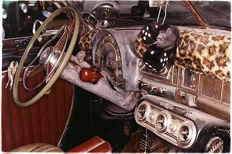 Leopard Dash, Norfolk 2002