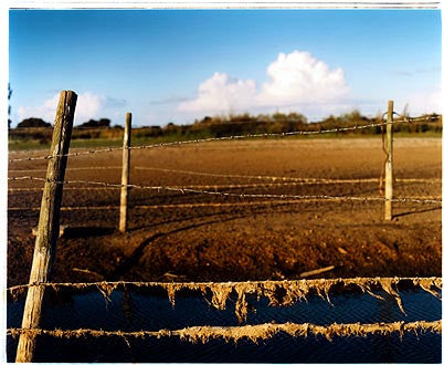 Long Drove - Lagoon, Cottenham, Cambridgeshire 2003