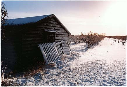 Oakington Road - Black Shed, Cottenham, Cambridgeshire 2003