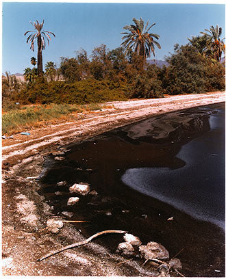 Shore Line, North Shore, Salton Sea, California 2003