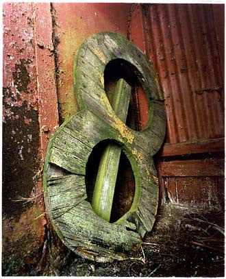 8 Rifle Butts - RSPB Rainham, Wennington and Aveley Marshes 2004