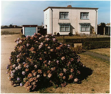 Bata Avenue (landscape), East Tilbury 2003