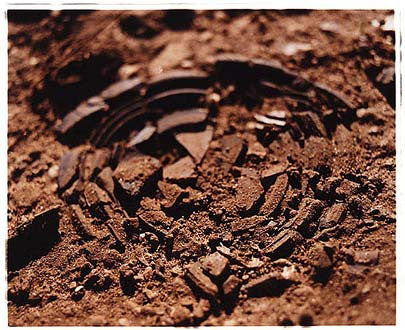 Chear Fen - Broken Clay Pigeon, Cottenham, Cambridgeshire 2002