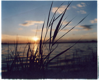 Martham Broad, Norfolk 2005