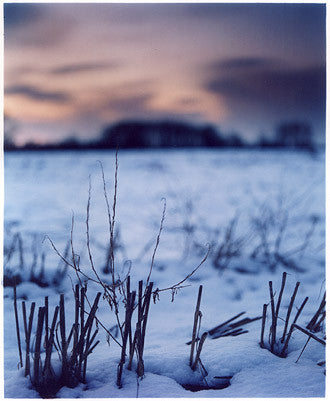 Snow, Binham, Norfolk 2003