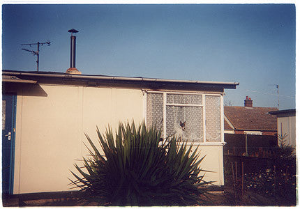 Dog in Window, Post War Prefab, Chatteris 1993