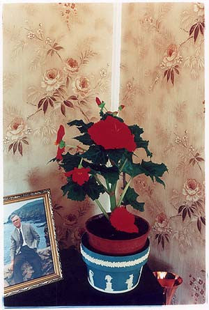 Pot plant, Post War Prefab, Wisbech 1993