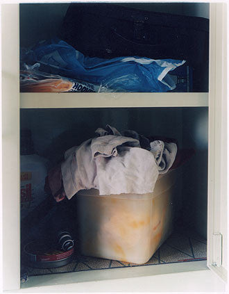 Cupboard, Post War Prefab, Wisbech 1993