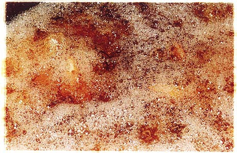 Chip Fryer - 'Season', Gloucester Road, London 2004