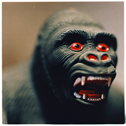 King Kong, Stockton-on-Tees